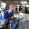 Sadecc 2009